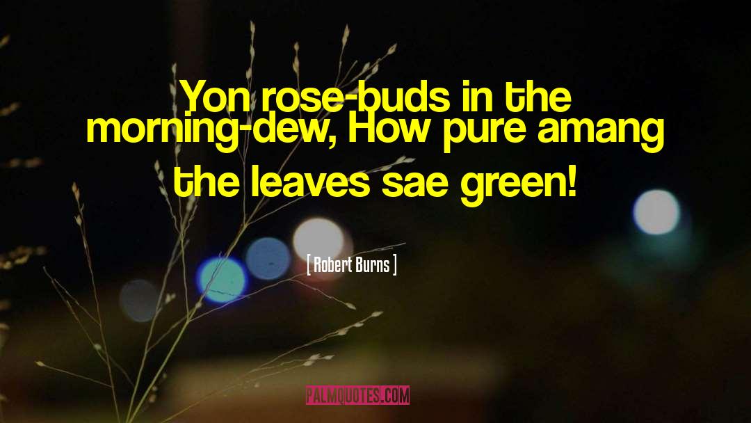 Rose Buds quotes by Robert Burns