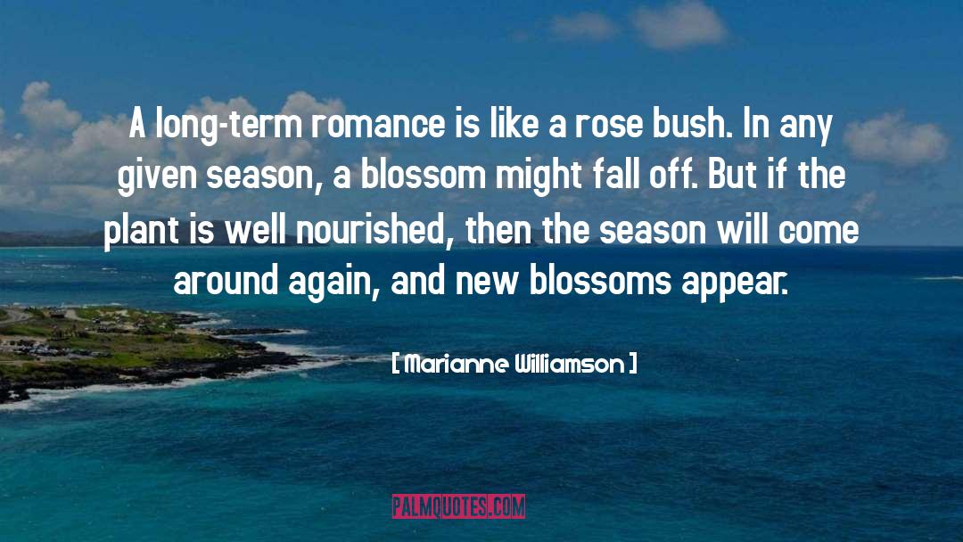 Rose Bush quotes by Marianne Williamson