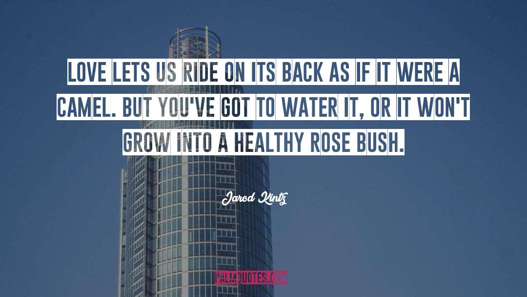 Rose Bush quotes by Jarod Kintz
