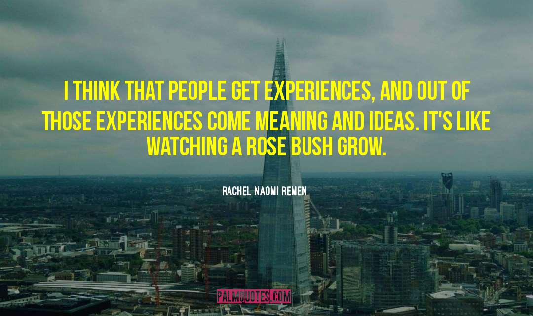 Rose Bush quotes by Rachel Naomi Remen