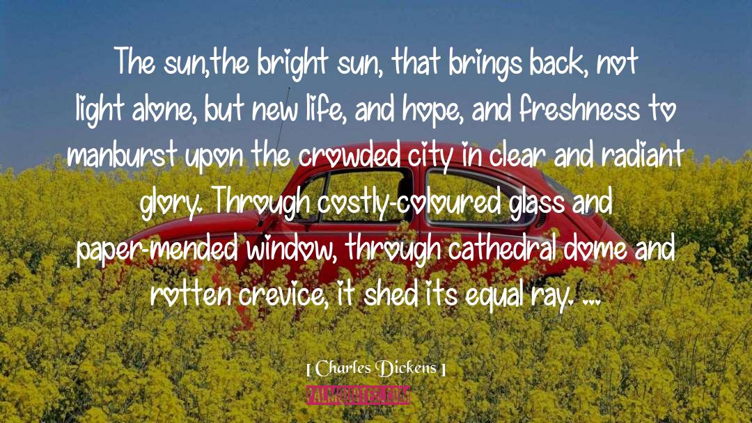 Rose Coloured Glasses quotes by Charles Dickens
