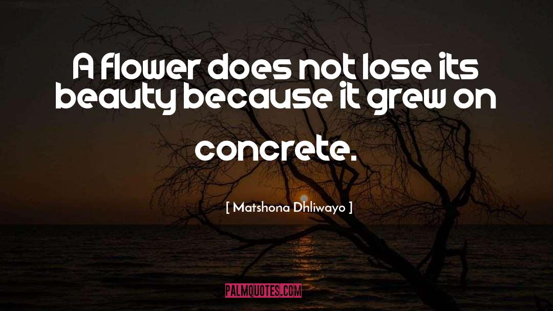 Rose Concrete quotes by Matshona Dhliwayo