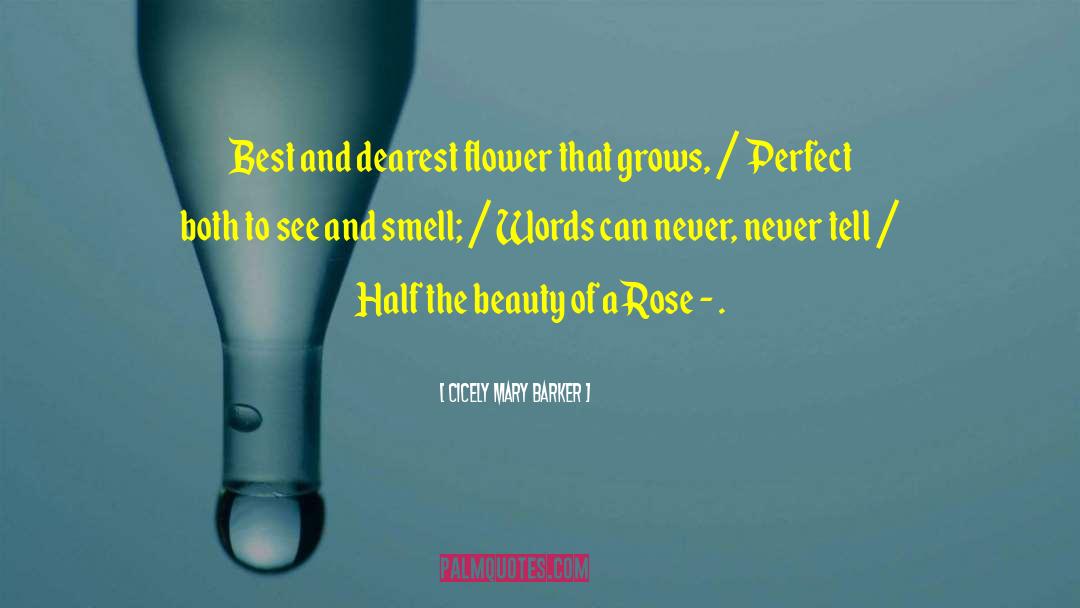 Rose Flower quotes by Cicely Mary Barker