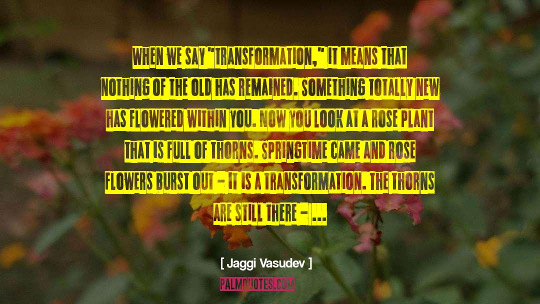 Rose Flower quotes by Jaggi Vasudev