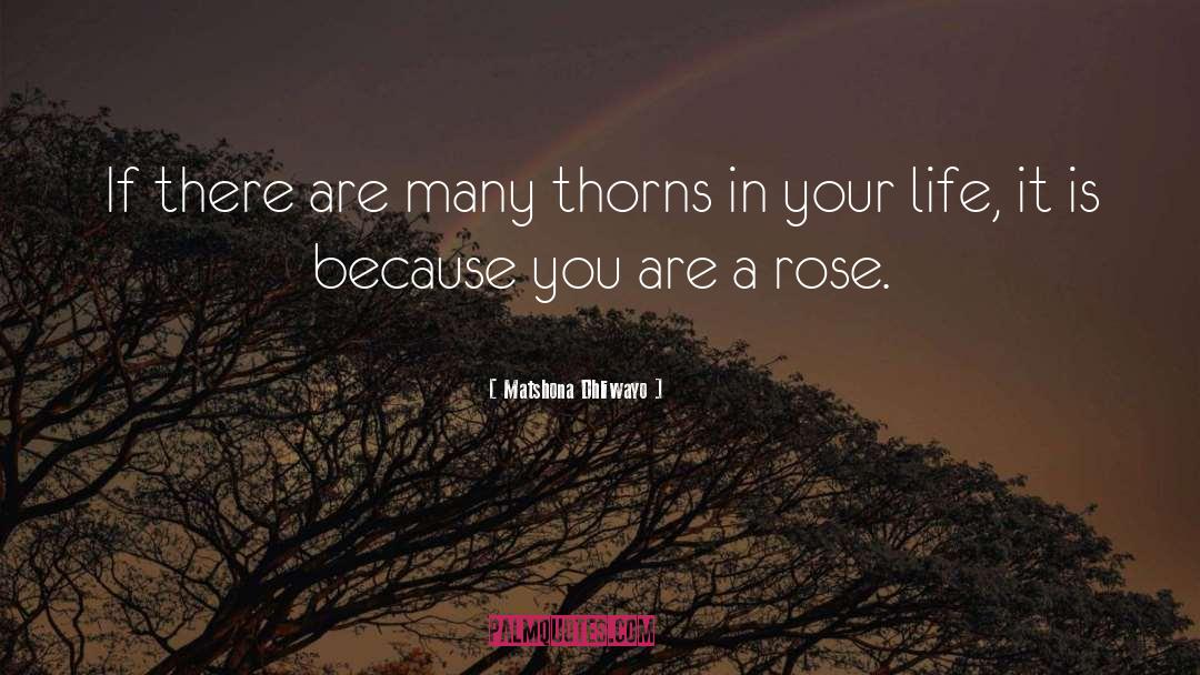 Rose Flower quotes by Matshona Dhliwayo