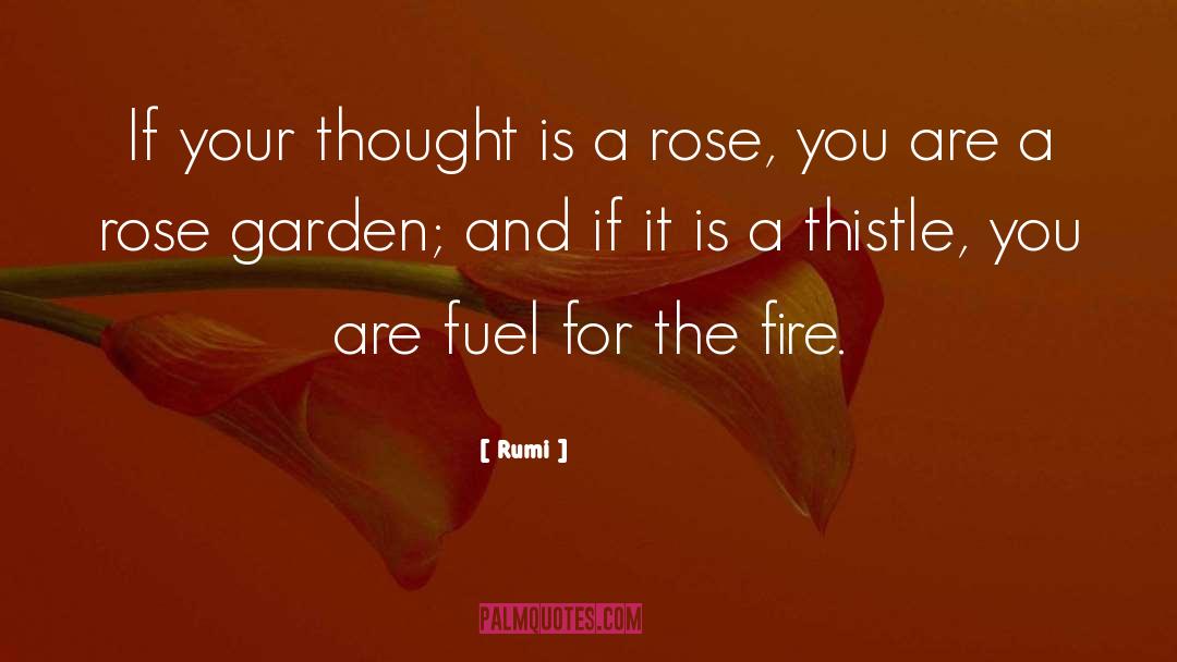 Rose Garden quotes by Rumi