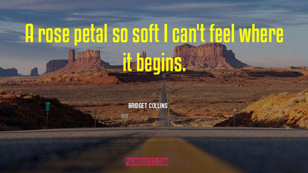 Rose Petal quotes by Bridget Collins