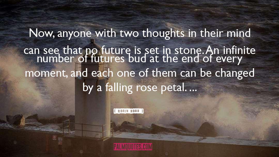Rose Petal quotes by Robin Hobb