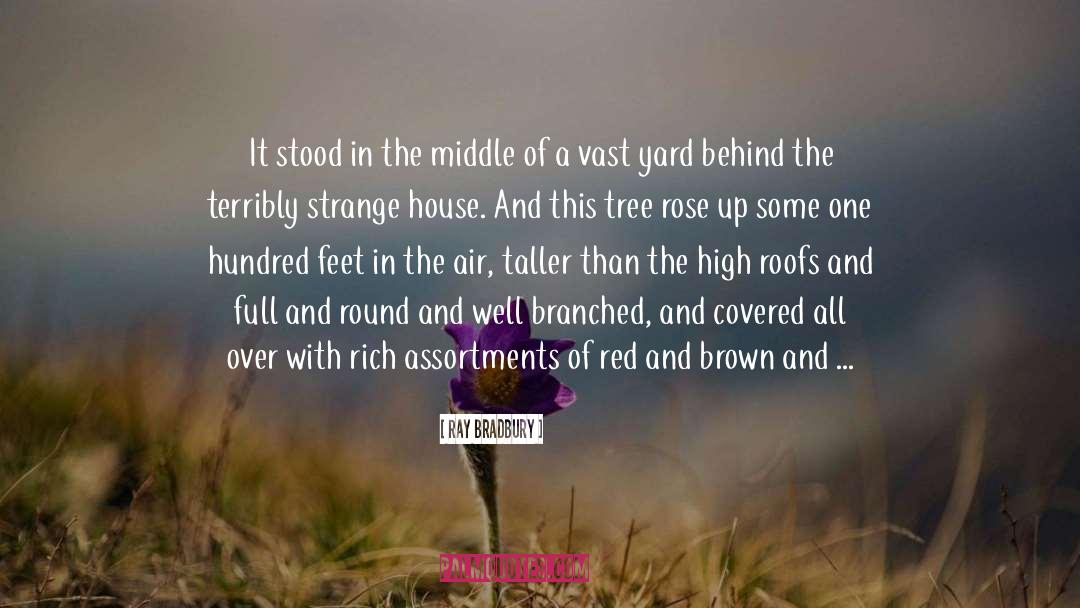 Rose Red Ruins quotes by Ray Bradbury