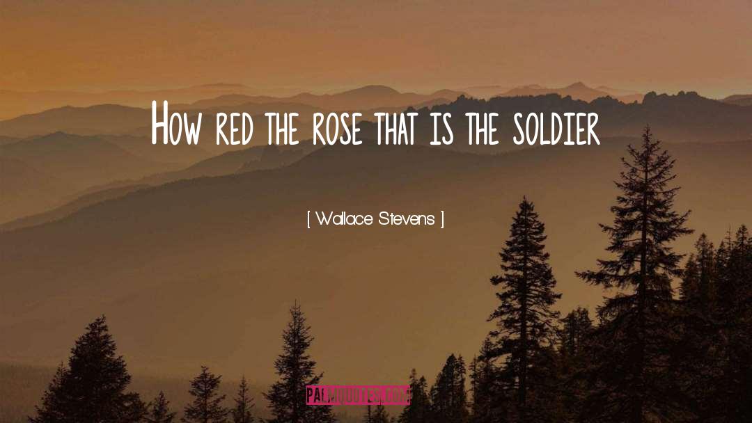 Rose Red Ruins quotes by Wallace Stevens