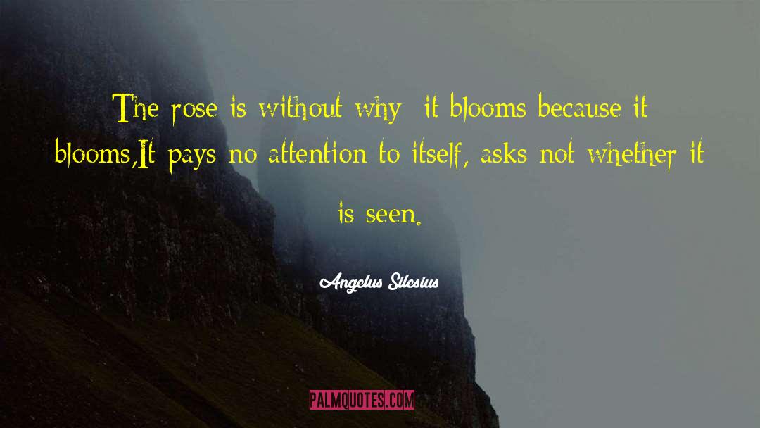 Rose Tinted Glasses quotes by Angelus Silesius