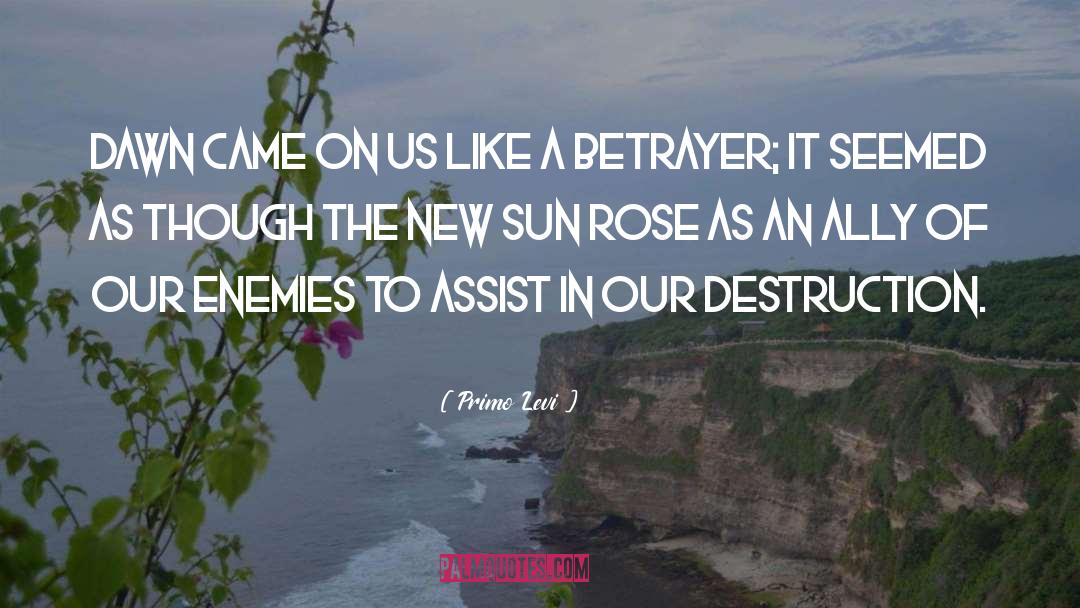 Rose Tinted Glasses quotes by Primo Levi