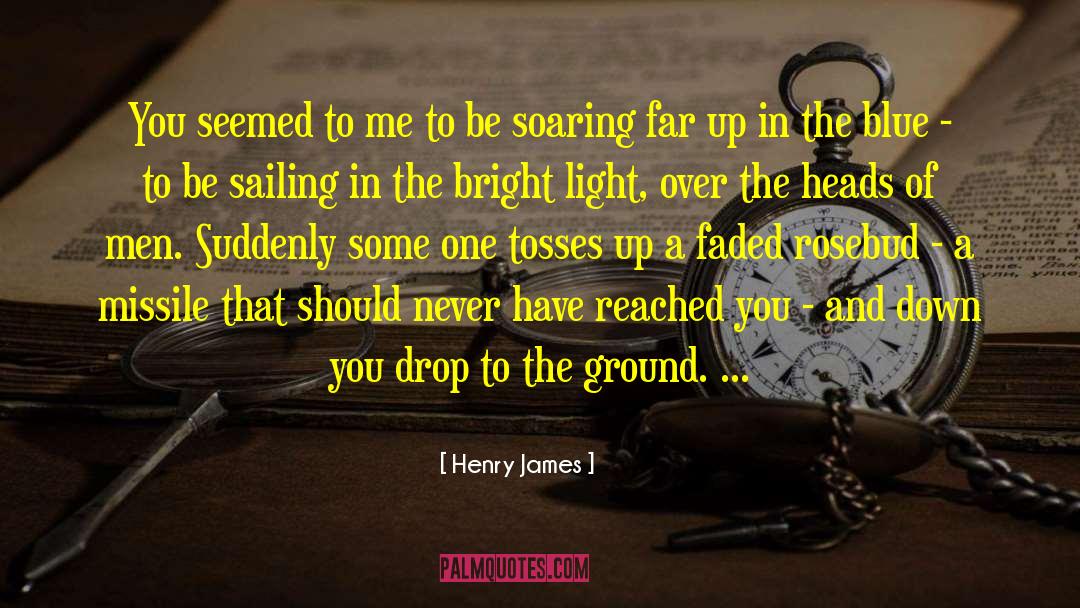 Rosebud quotes by Henry James