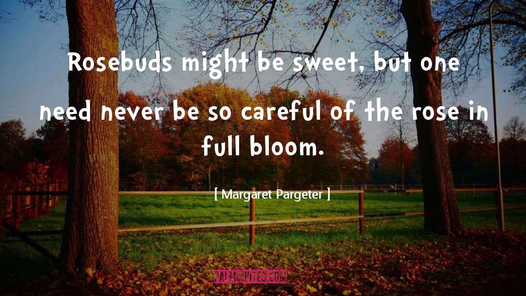 Rosebuds quotes by Margaret Pargeter