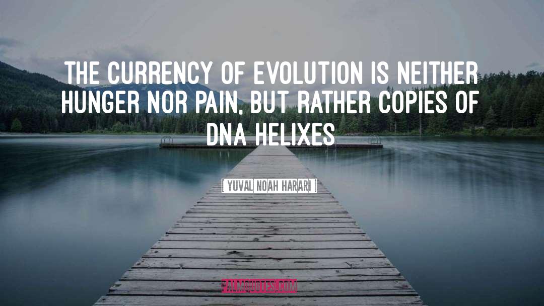 Roselia Evolution quotes by Yuval Noah Harari