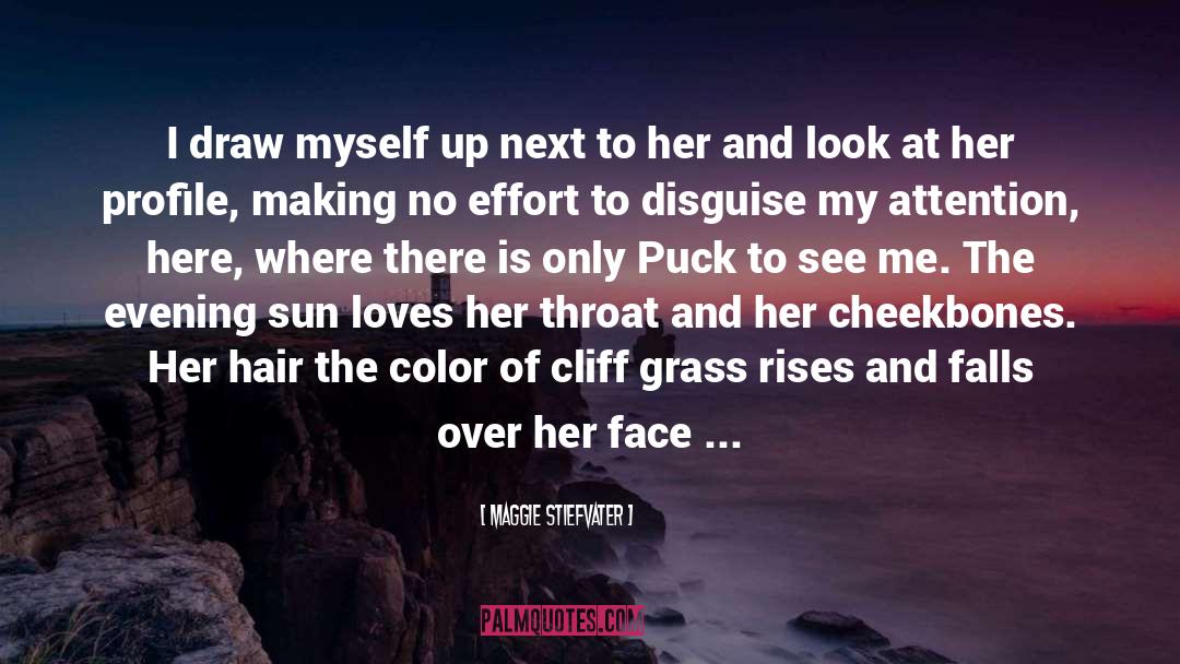 Rosemary Beach Series quotes by Maggie Stiefvater