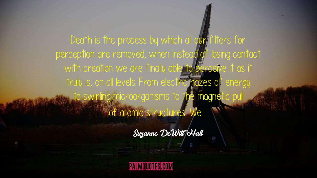 Rosendin Electric quotes by Suzanne DeWitt Hall