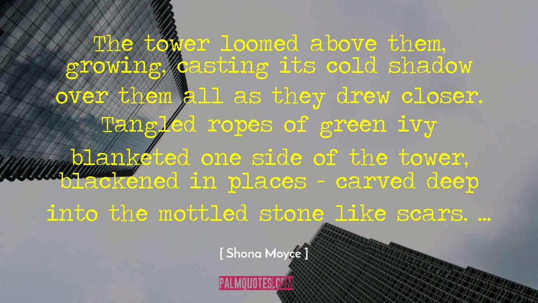 Rosenkrantz Tower quotes by Shona Moyce