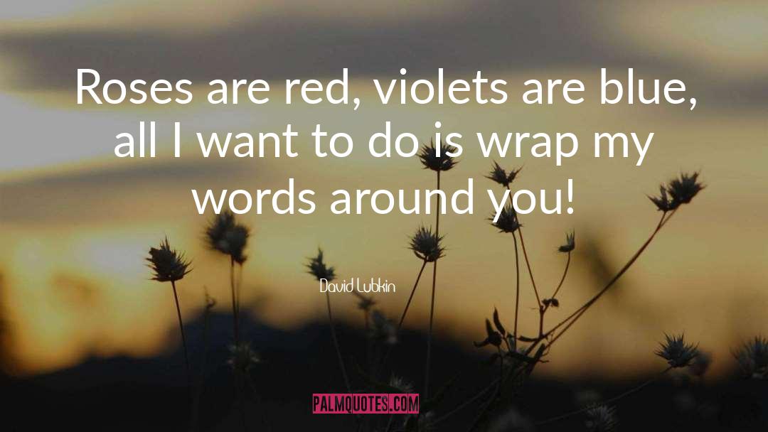 Roses Are Red Violets Are Blue quotes by David Lubkin