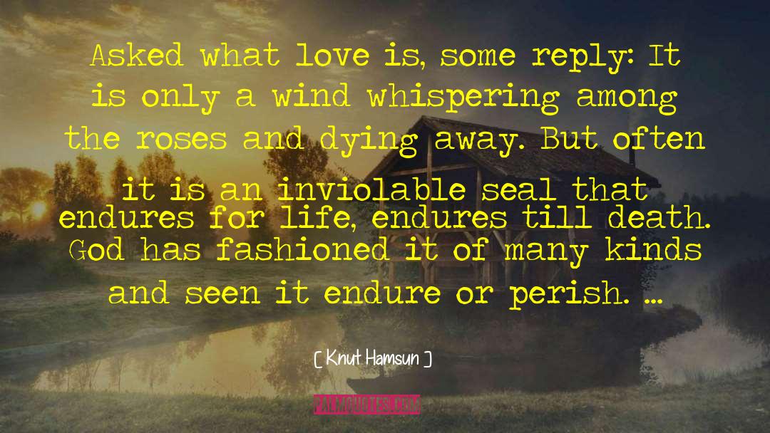 Roses For Love quotes by Knut Hamsun