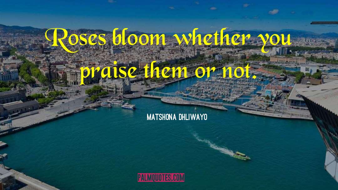 Roses Only quotes by Matshona Dhliwayo