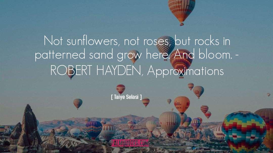 Roses quotes by Taiye Selasi