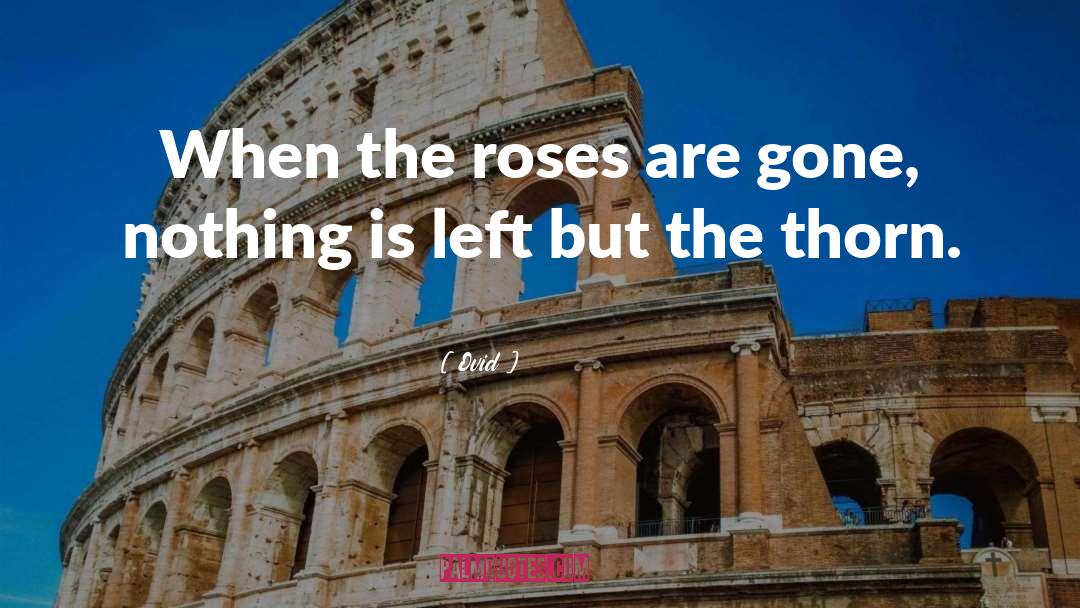 Roses quotes by Ovid