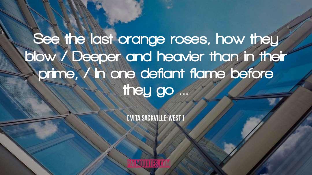 Roses quotes by Vita Sackville-West