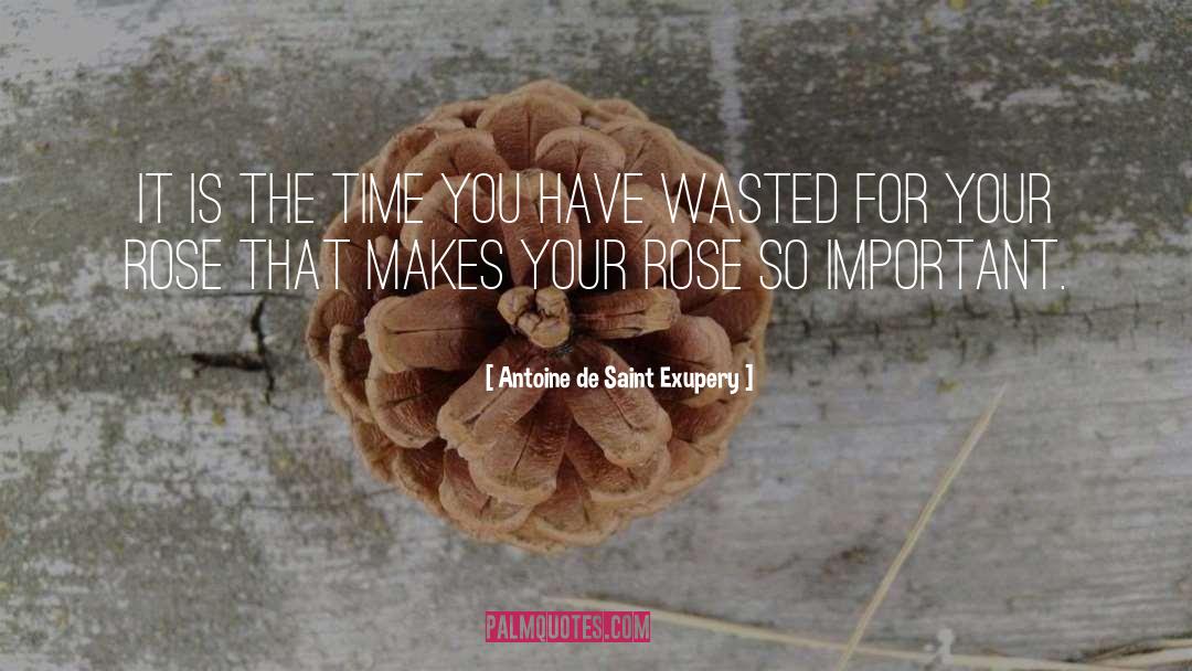 Roses quotes by Antoine De Saint Exupery