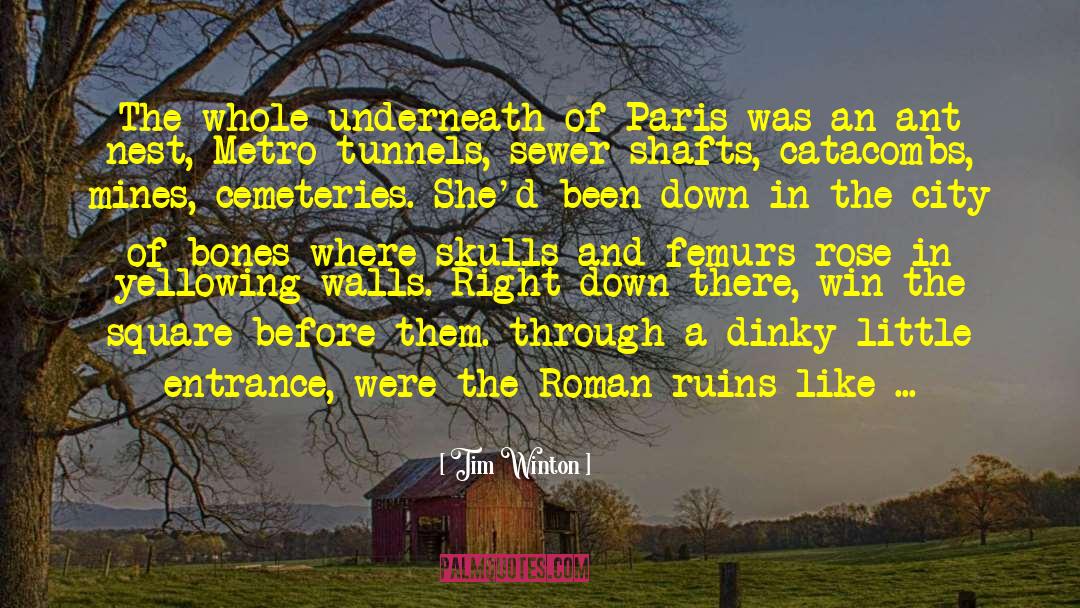 Roses Underneath Paris quotes by Tim Winton