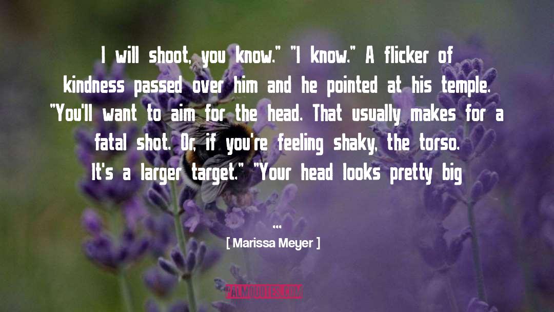 Roszak Flicker quotes by Marissa Meyer