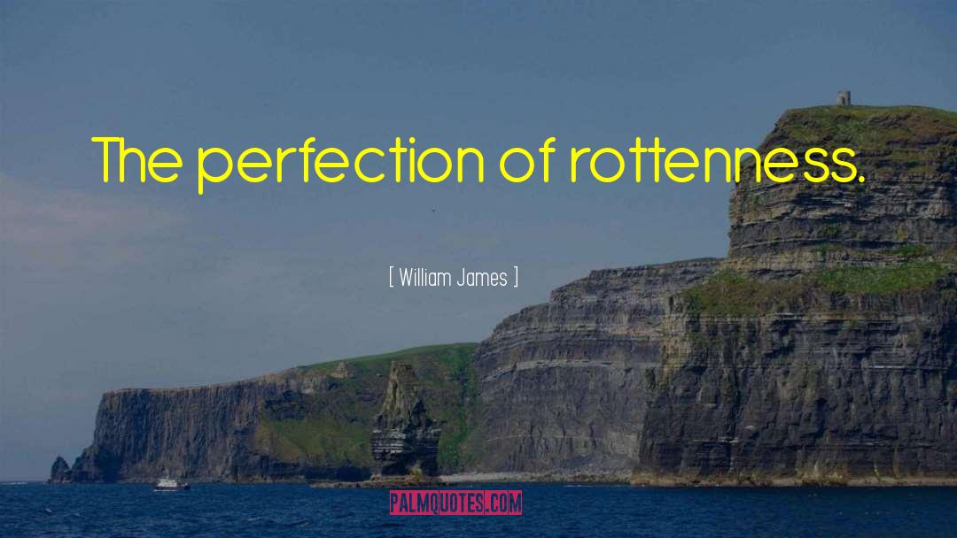 Rottenness quotes by William James