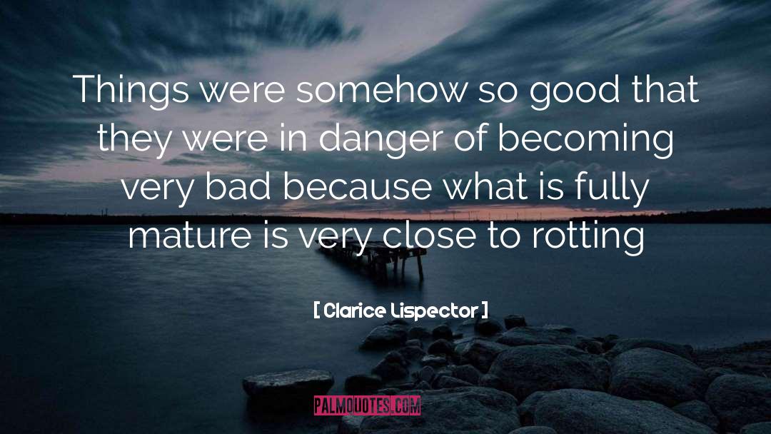 Rotting quotes by Clarice Lispector