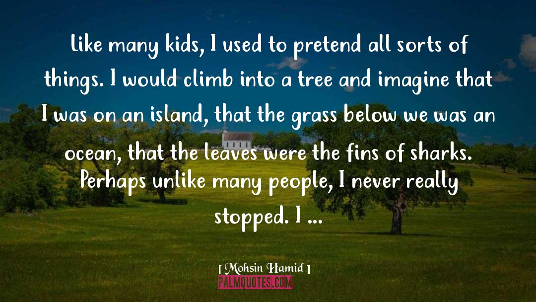 Rottnest Island quotes by Mohsin Hamid