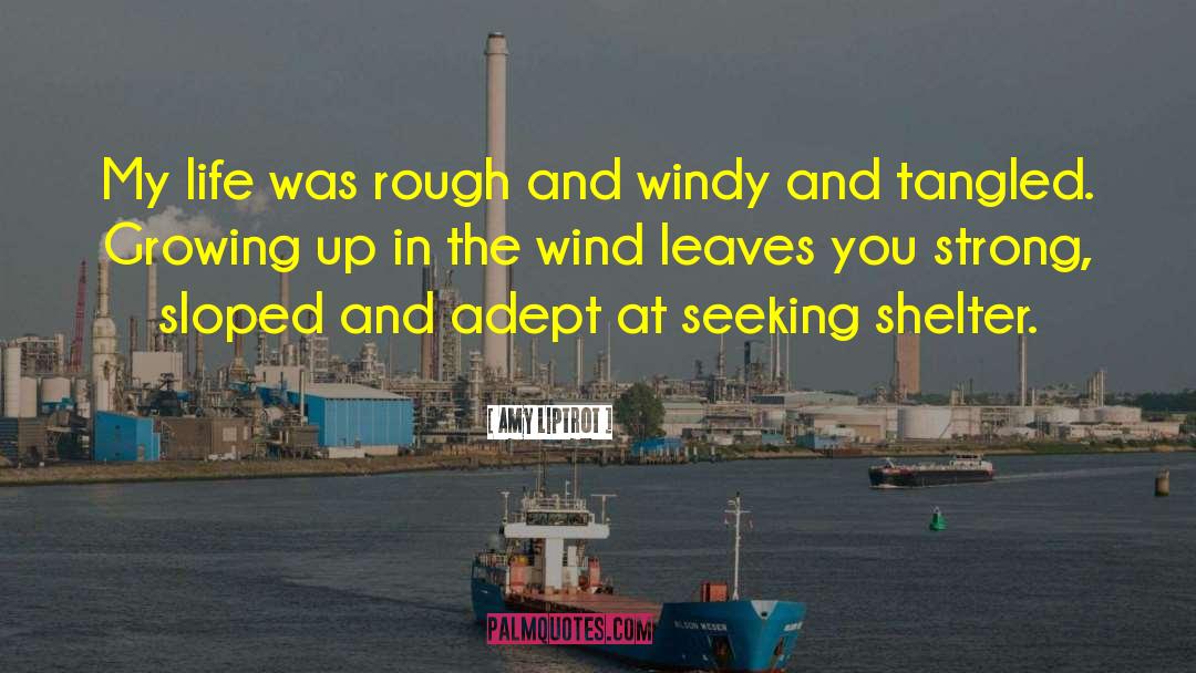 Rough Seas quotes by Amy Liptrot