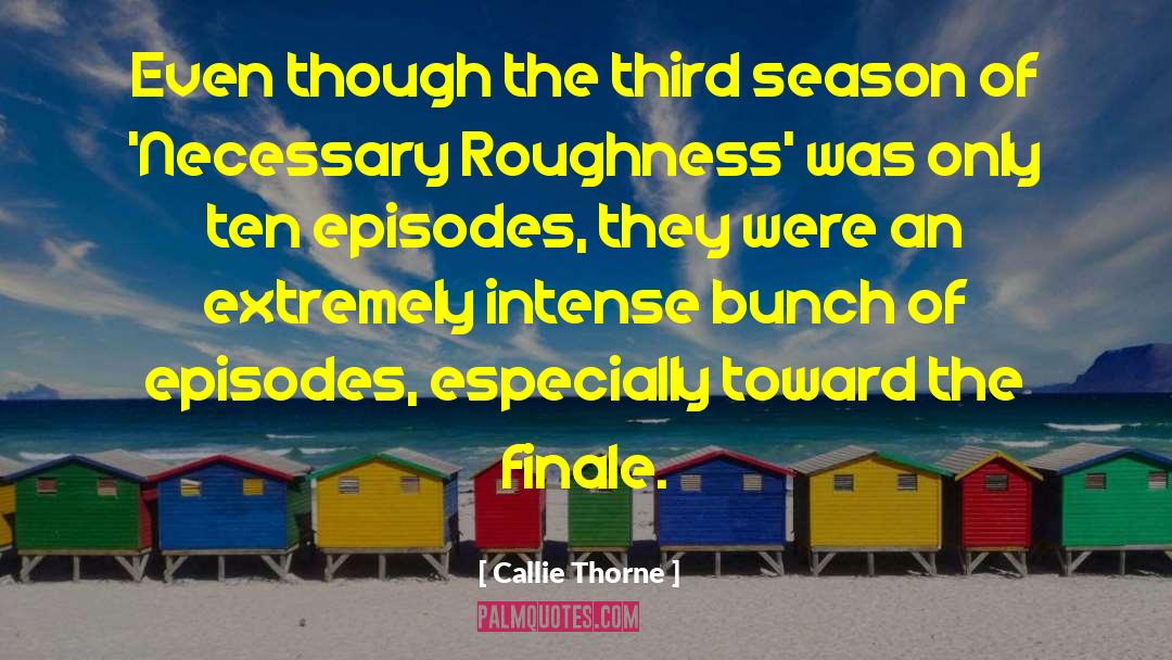 Roughness quotes by Callie Thorne