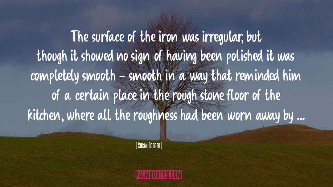 Roughness quotes by Susan Cooper