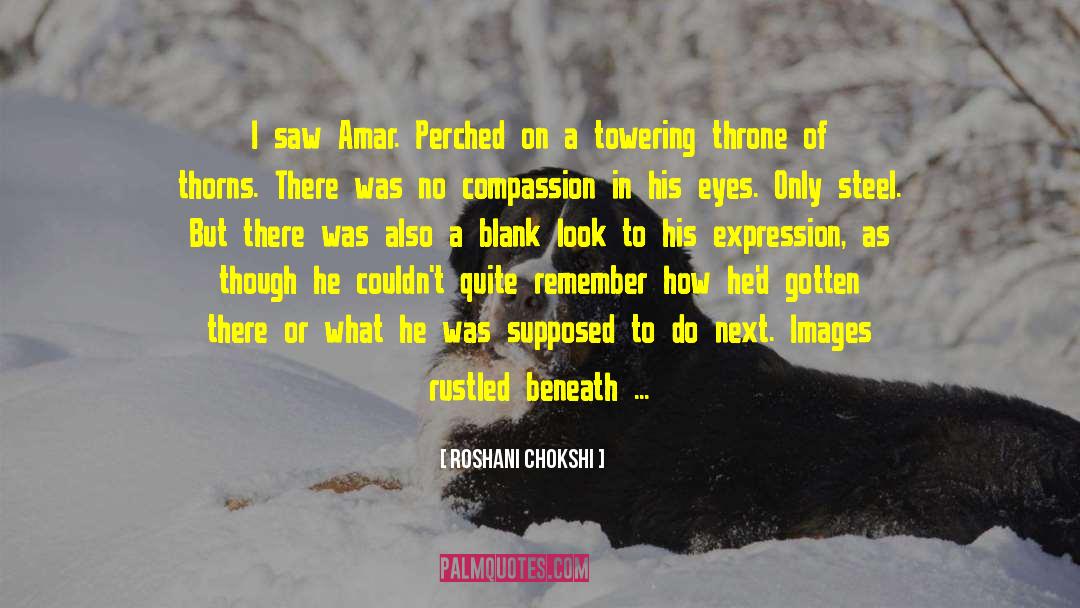 Roughness quotes by Roshani Chokshi