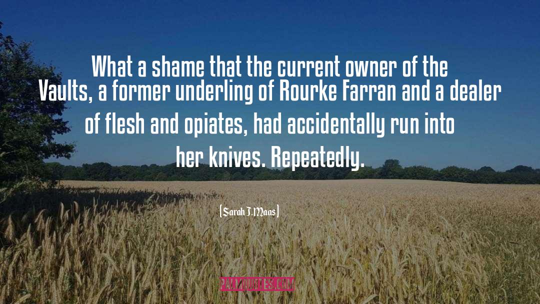 Rourke Farran quotes by Sarah J. Maas