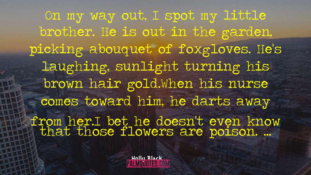 Rovetti Flowers quotes by Holly Black