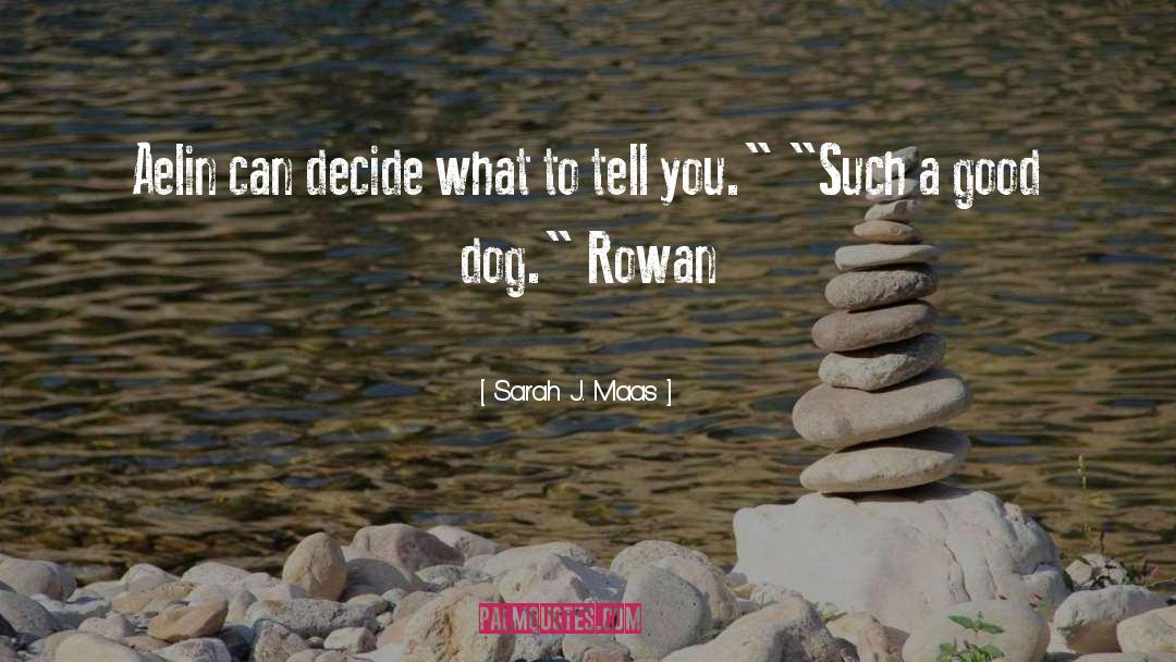 Rowan quotes by Sarah J. Maas