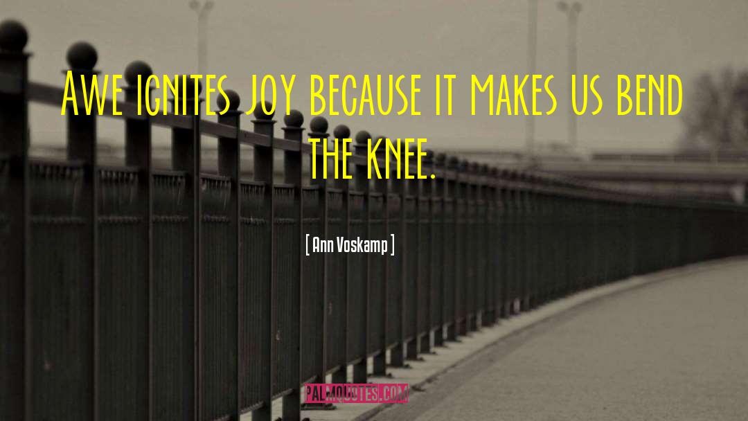 Rpas Knee quotes by Ann Voskamp