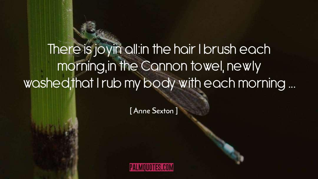 Rub Off quotes by Anne Sexton