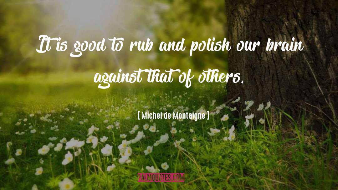 Rub quotes by Michel De Montaigne