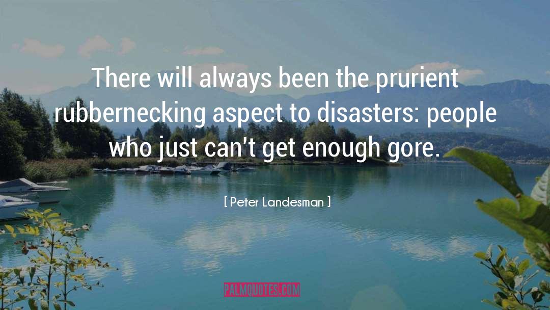 Rubbernecking quotes by Peter Landesman