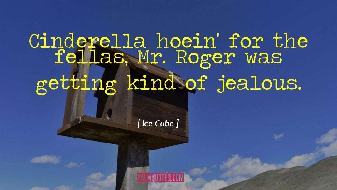 Rubik S Cube quotes by Ice Cube