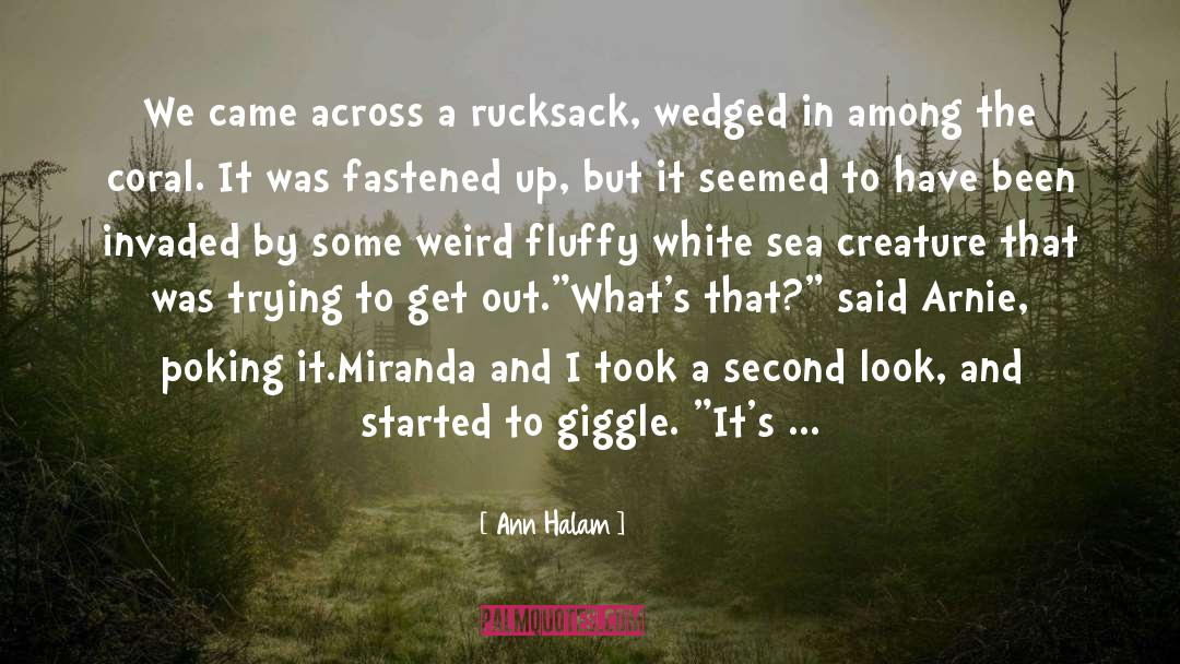 Rucksack quotes by Ann Halam