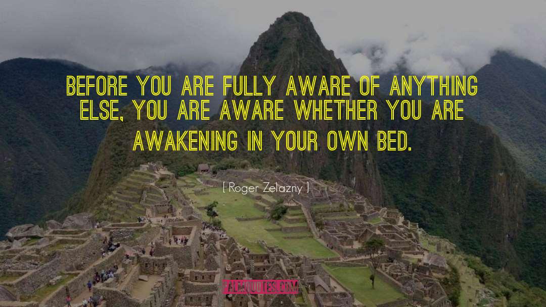 Rude Awakening quotes by Roger Zelazny