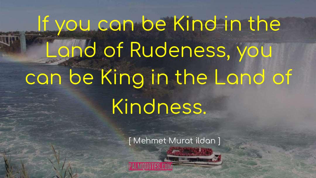 Rudeness quotes by Mehmet Murat Ildan