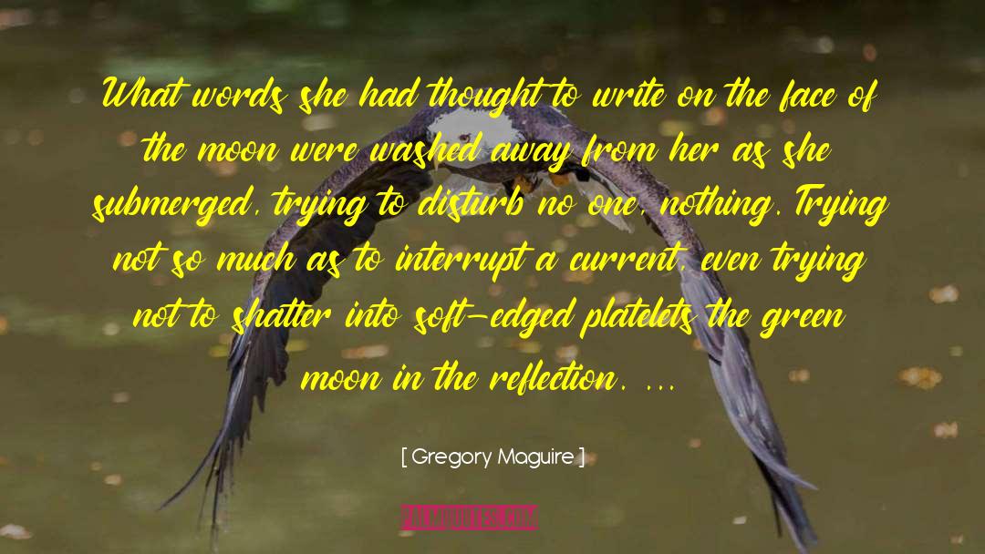 Rueful Reflection quotes by Gregory Maguire